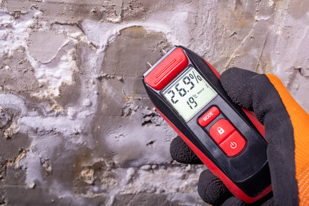 Best Mold Remediation  in Luckey, OH