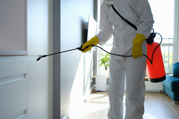 Best Toxic Mold Removal  in Luckey, OH